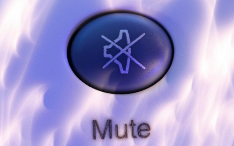 Mute Button